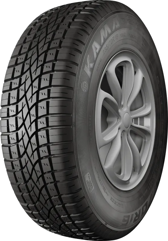 KAMA-221 в Кызыле — KAMA TYRES KAMA-221 в Кызыле